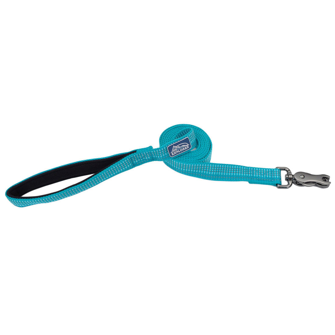 1" K9 Explorer Brights Reflective Leash, Blue