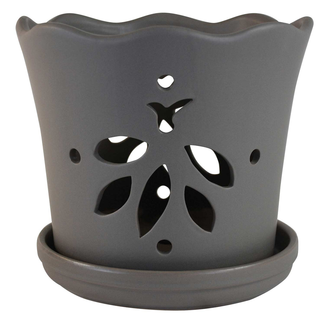 Butterfly Orchid Pot, 5"