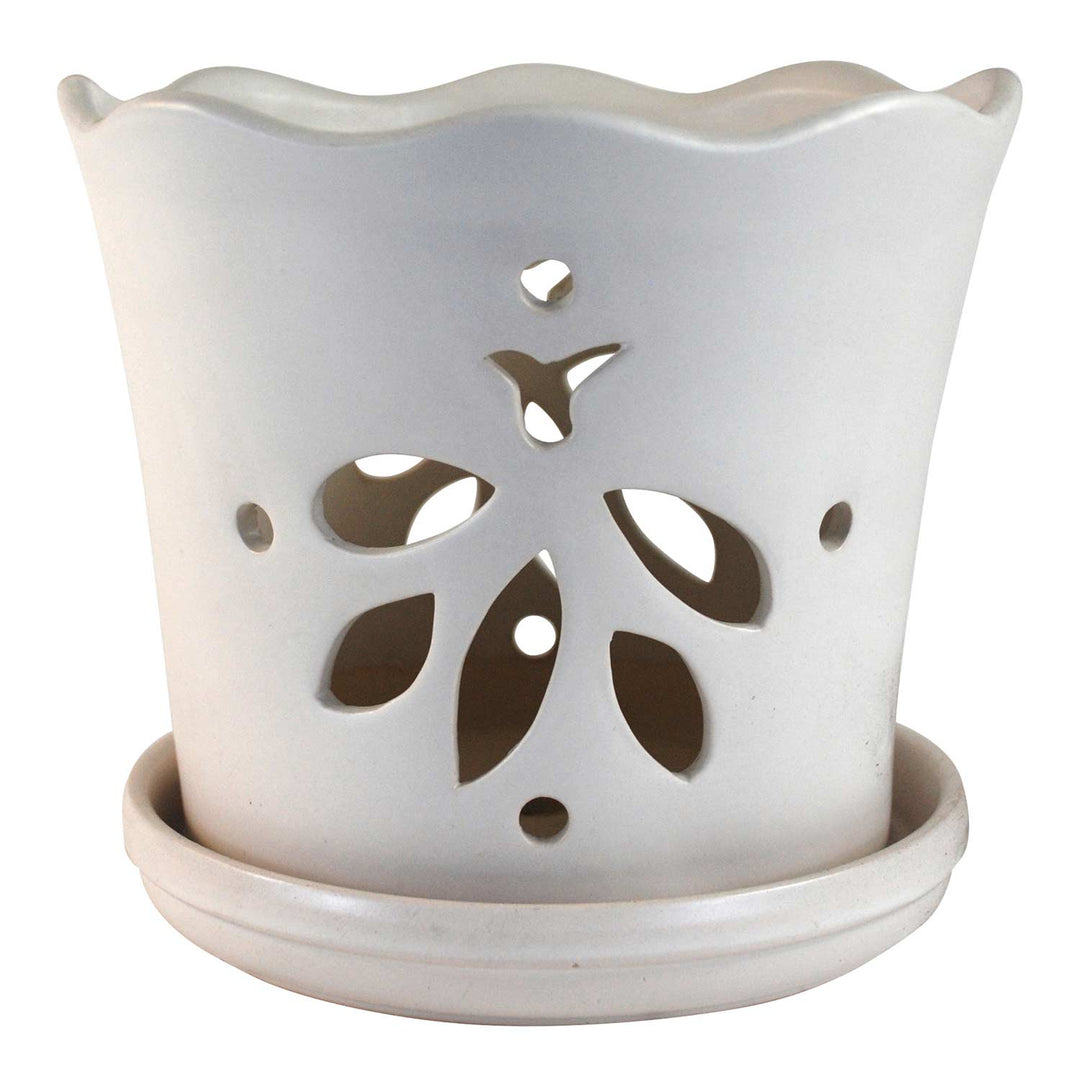 Butterfly Orchid Pot, 8"