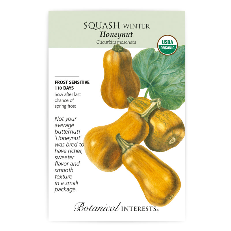 Squash, Botanical Interests Honeynut Winter Seeds Organic