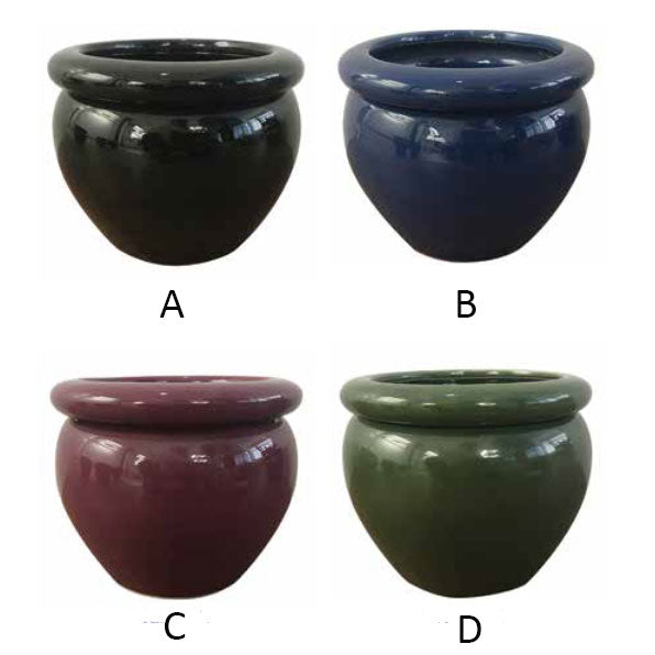 Border Concepts, Self-Watering Round Pot, 4.75", Assorted and Sold Separately