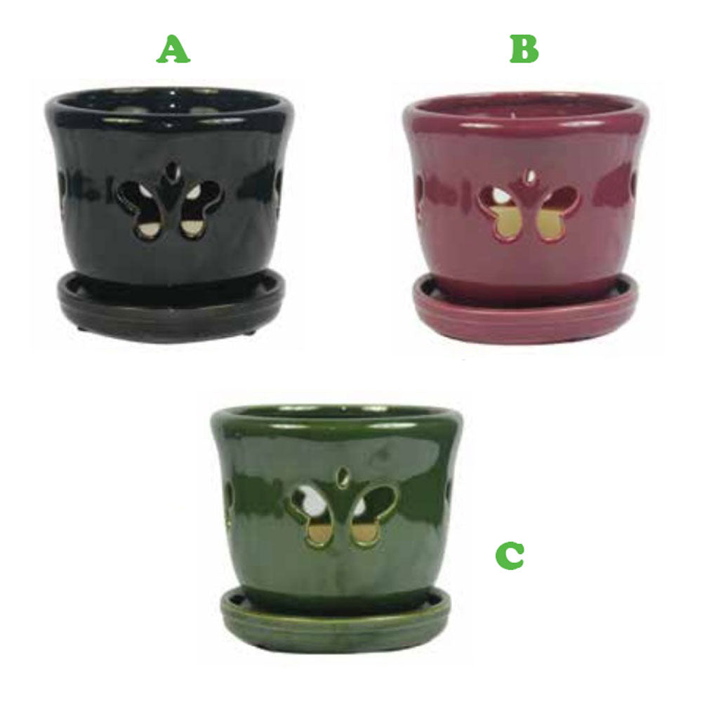 Border Concepts, 6" Butterfly Orchid Pot w/ Saucer, Assorted and Sold Separately