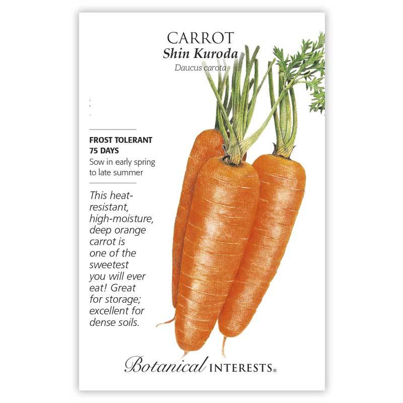 Carrot, Botanical Interests Shin Kuroda Seeds