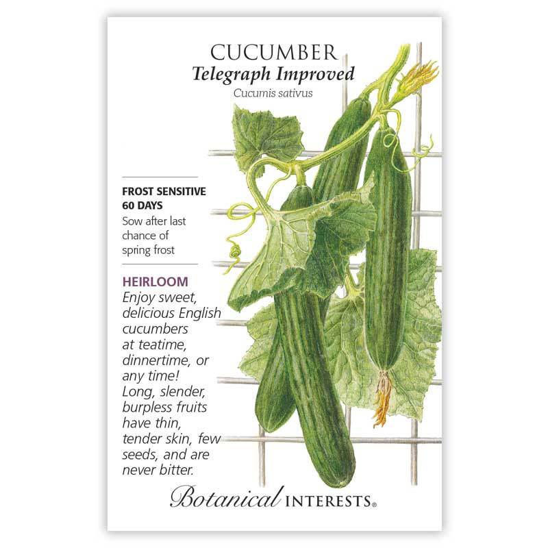 Cucumber, Botanical Interests Telegraph Improved Seeds (Heirloom)