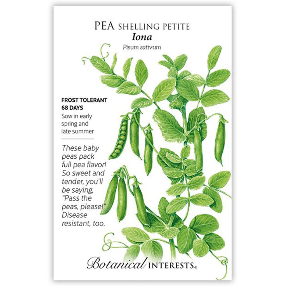 Botanical Interests, Pea, Shelling Petite Iona