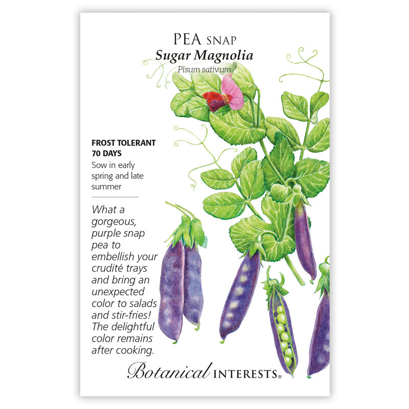 Pea, Botanical Interests Sugar Magnolia Snap Seeds