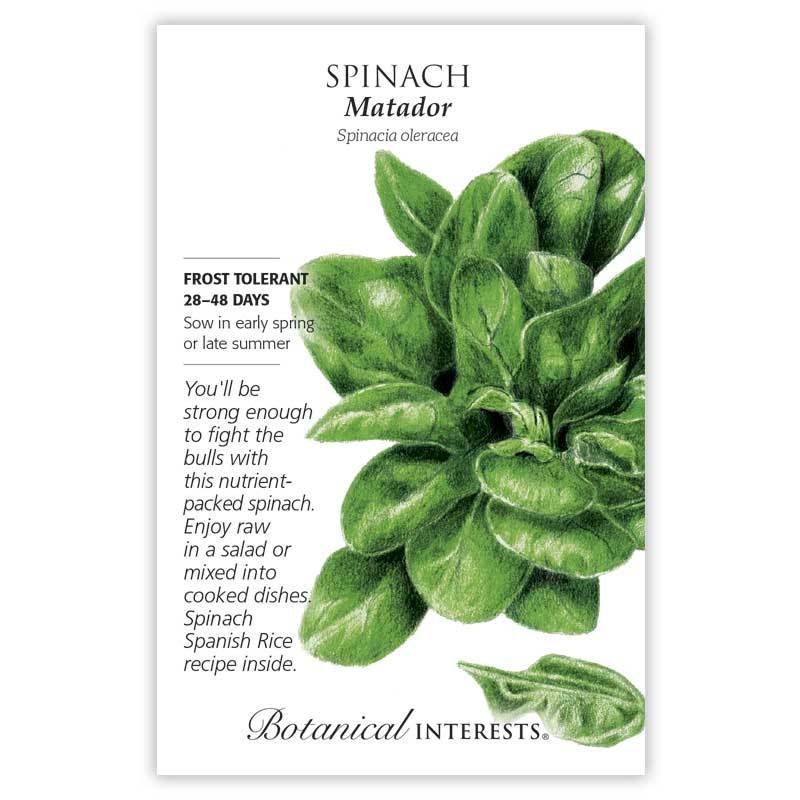 Spinach, Botanical Interests Matador Seeds