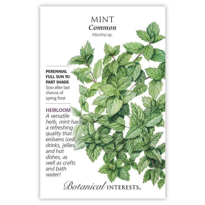 Common Mint Botanical Interests Seeds