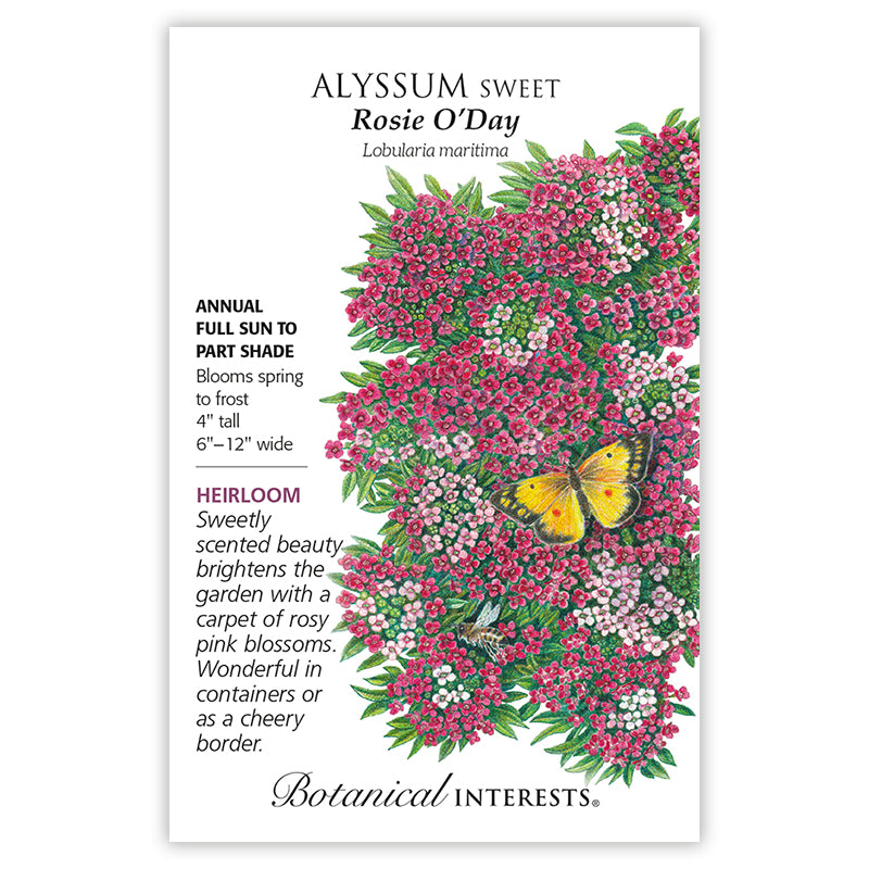 Sweet Alyssum, Botanical Interests Rosie O'Day Seeds (Heirloom)