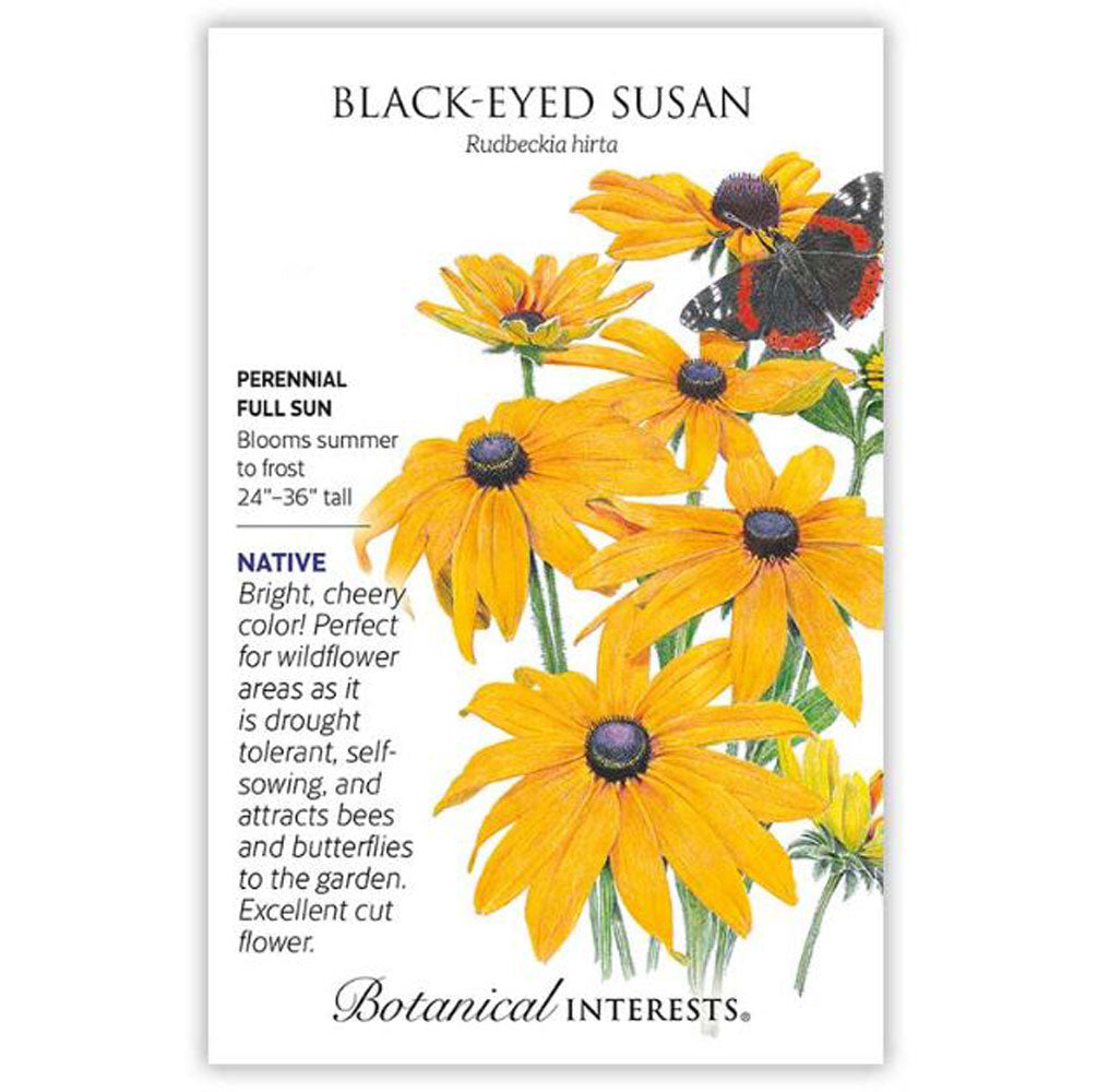 Botanical Interests, Black Eyed Susan