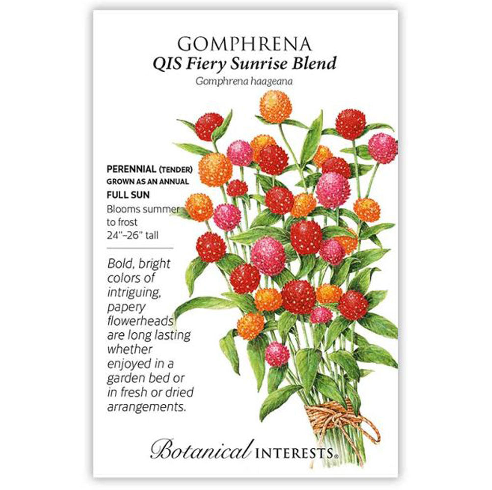 Botanical Interests, Gomphrena Qis Fiery Sunrise Blend