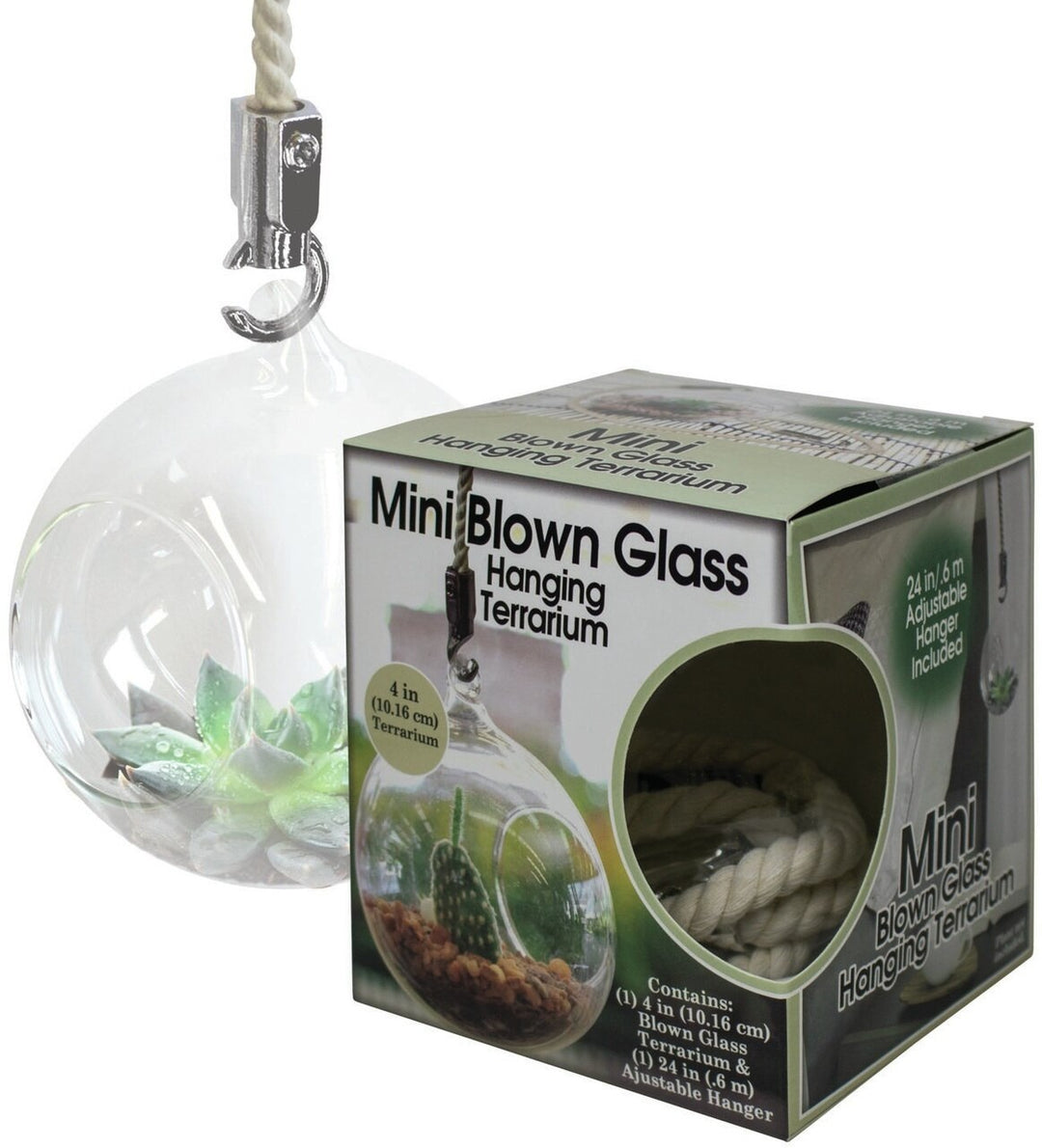 Mini Blown 4 in. Glass Hanging Terrarium