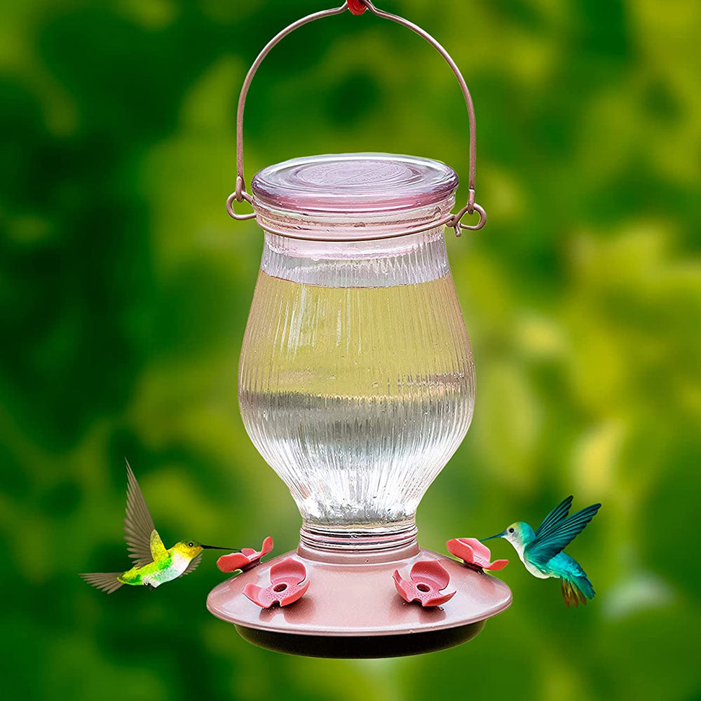 Perky-Pet, Hummingbird Feeder, Sun Kissed