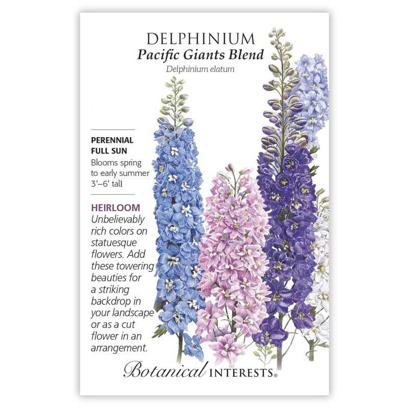 Delphinium, Bontacial Interests Pacific Giants Blend Seeds (Heirloom)