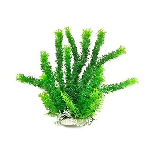 Cabomba-Like Green Aquarium Plant, 9"