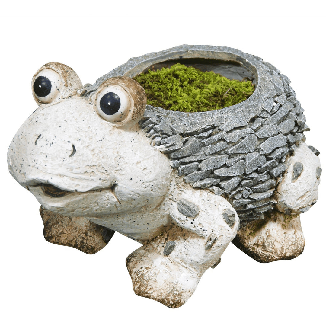Frog Garden Planter