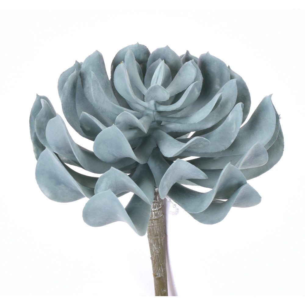 Lotus Succulent Pick, Blue/Green, 5 in.