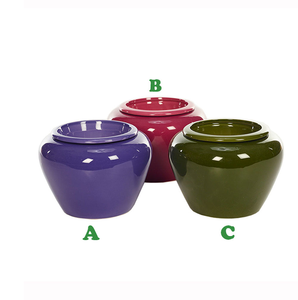 Napco, African Violet Pot, Assorted & Sold Separately