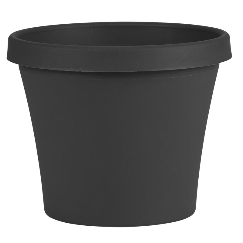 Bloem Terra Plastic Planter, Charcoal, 8 in.