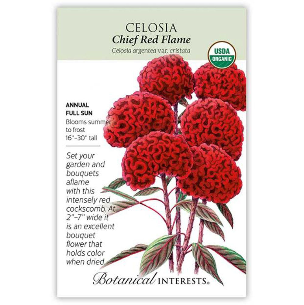 Botanical Interests, Celosia, Chief Red Flame Organic