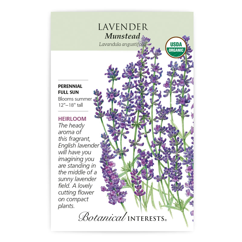 Lavender, Botanical Interests Munstead Seeds Organic, (Heirloom)