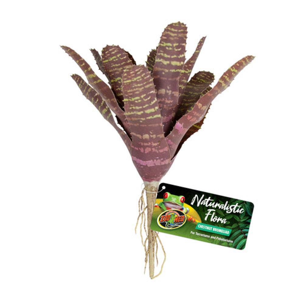 Zoo Med, Chestnut Bromeliad Terrarium Plant