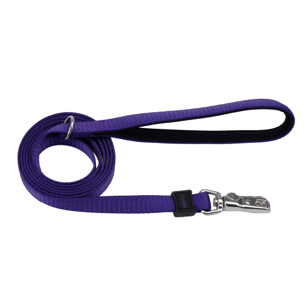 5/8" Inspire Leash, Purple