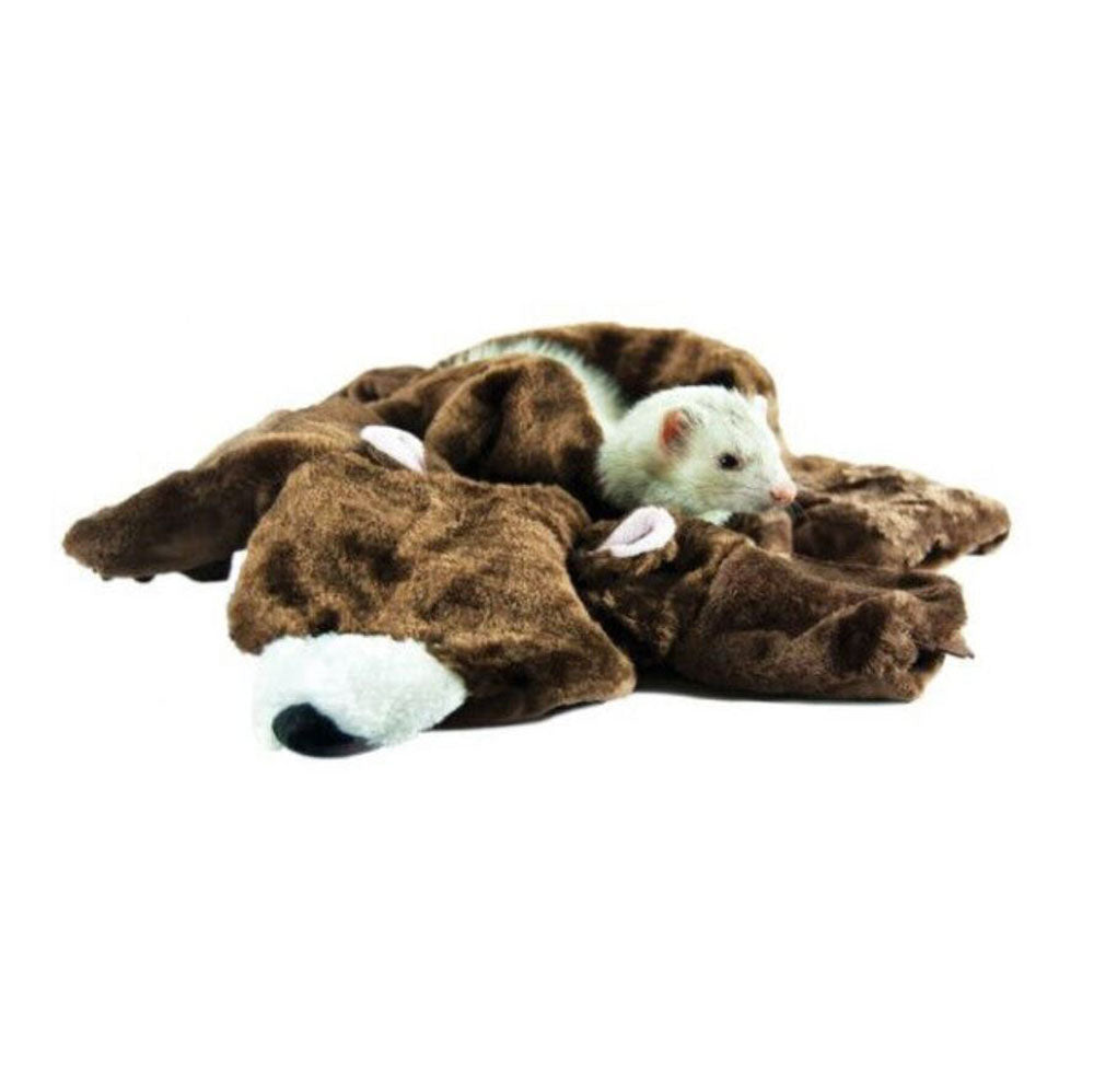 Marshall, Bear Rug