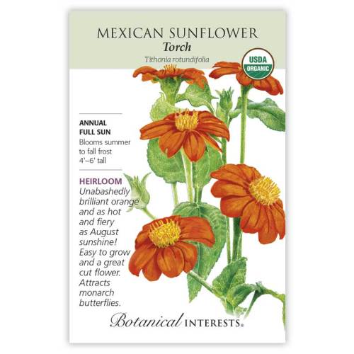 Sunflower, Botanical Interests Torch Mexican Seeds Organic, (Heirloom)