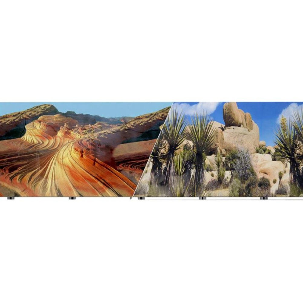 Blue Ribbon, Double Sided Desert Sand Cactus Background, Priced Per Foot