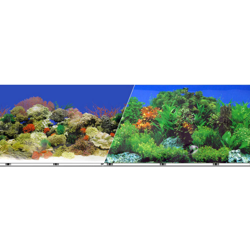 Blue Ribbon, Double Sided Caribbean Reed/Garden Background, Priced Per Foot