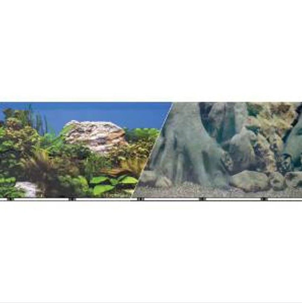 Blue Ribbon, Double Sided Trunks and Freshwater Background