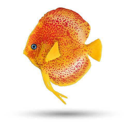 Discus Fish Decoration, 3.75"