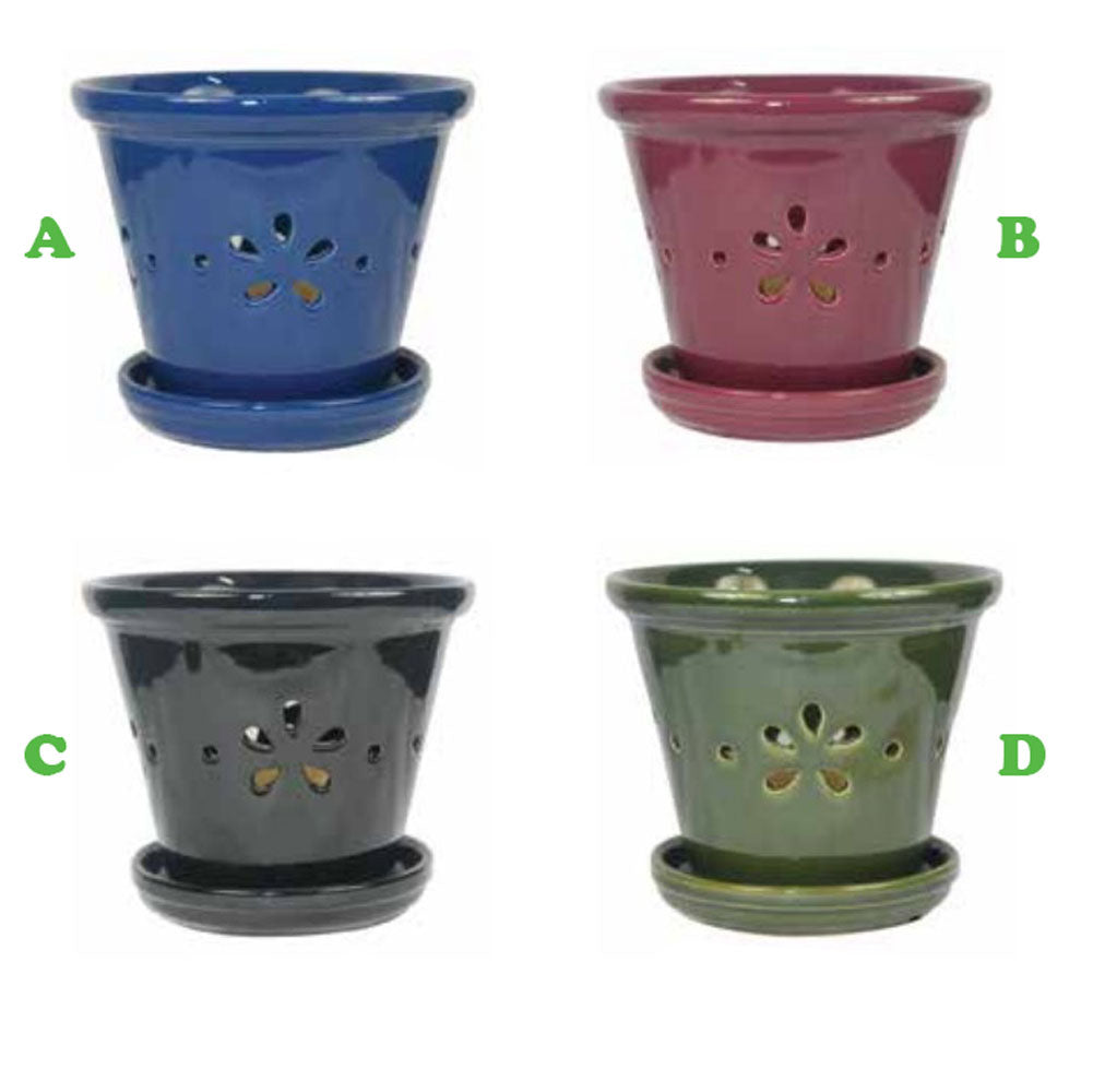 Border Concepts, 5.5" Daisy Orchid Pot w/Saucer, Assorted and Sold Separately