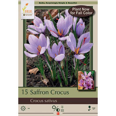 Netherland Bulb Co. Saffron Crocus Bulbs