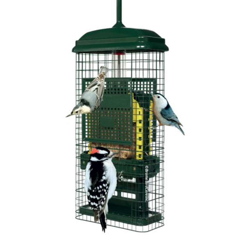 Brome, Squirrel Buster Suet Feeder