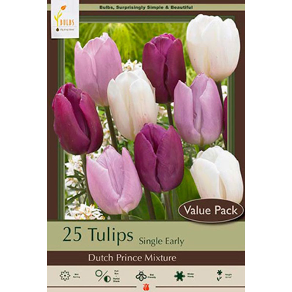 Netherland Bulb Co., Tulip Dutch Prince Mix Value Pack