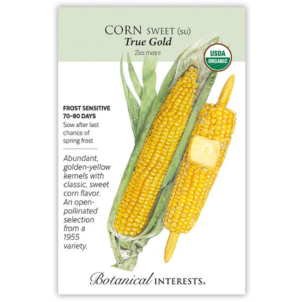 Botanical Interests, Corn, Sweet Yellow True Gold Organic