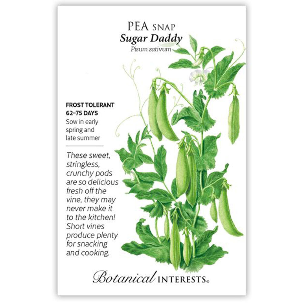Botanical Interests, Pea Snap, Sugar Daddy