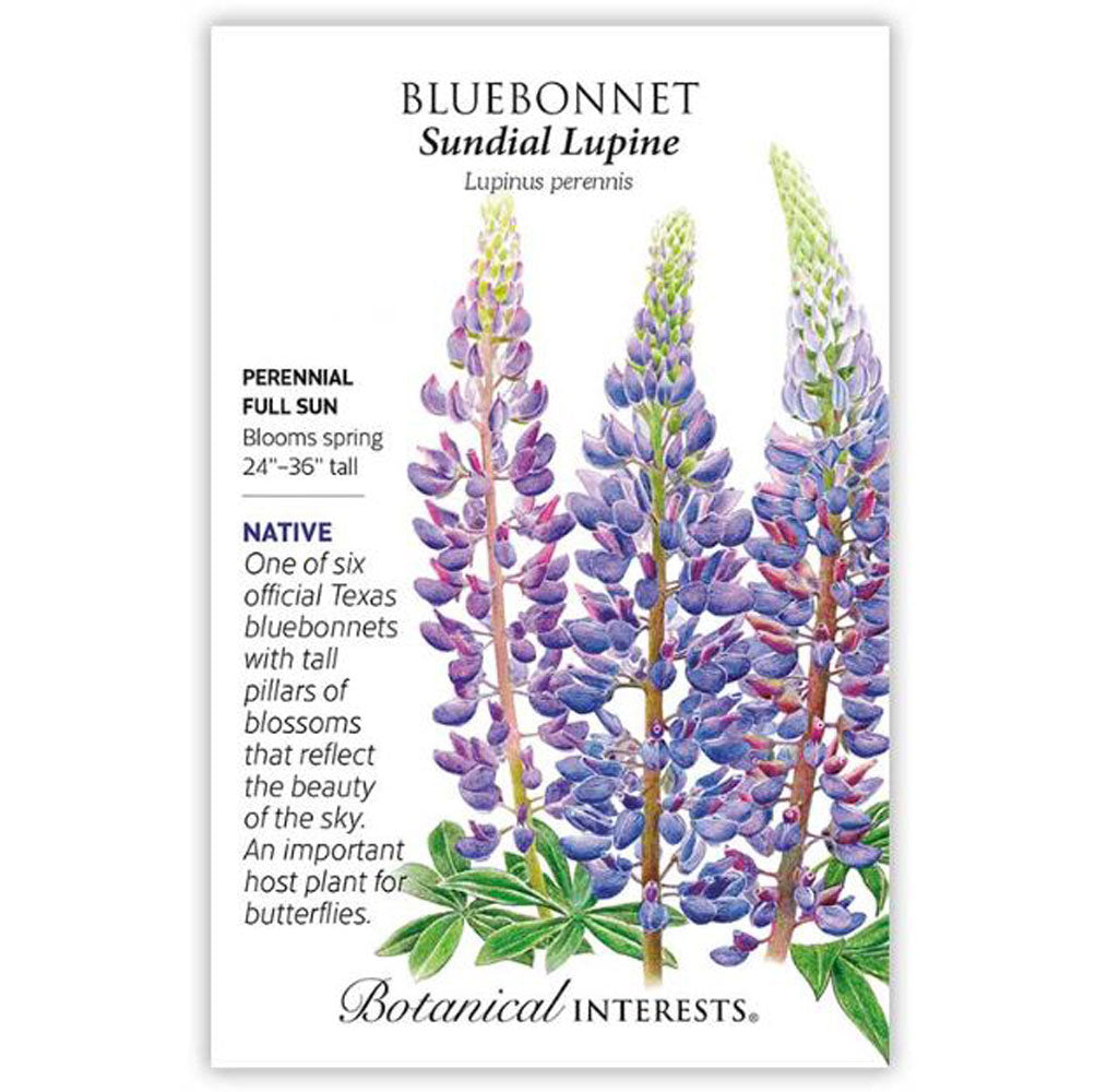 Botanical Interests, Bluebonnet Sundial Lupine