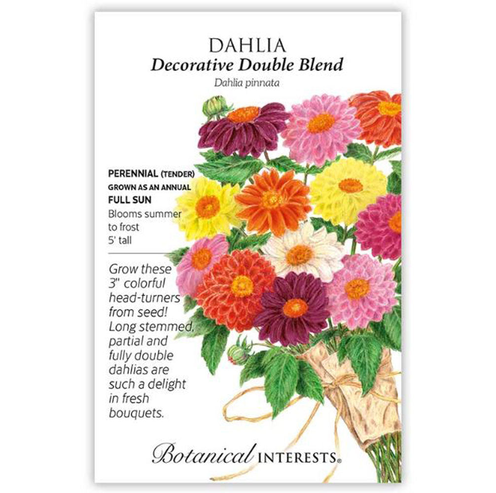 Botanical Interests, Dahlia, Decorative Double Blend
