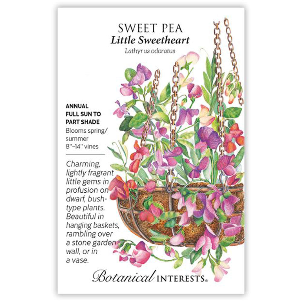 Botanical Interests, Sweet Pea, Little Sweetheart Blend