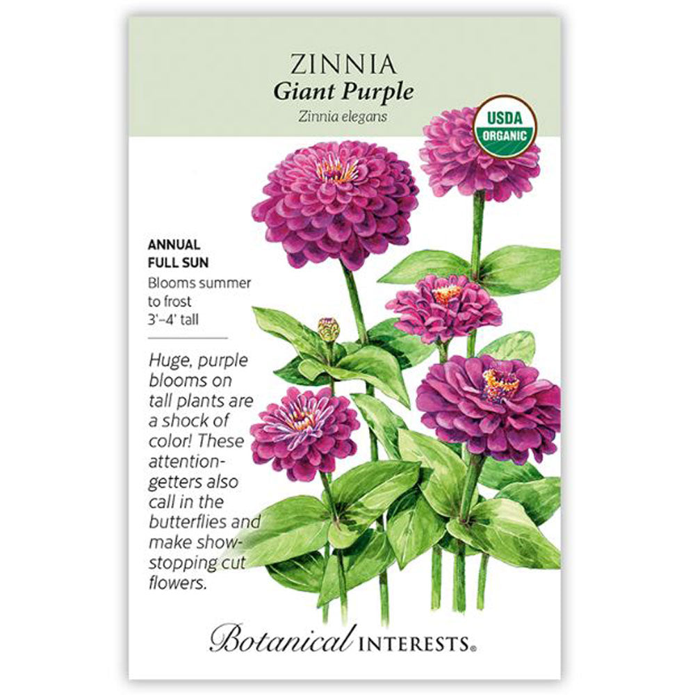 Botanical Interests, Zinnia, Giant Purple Organic
