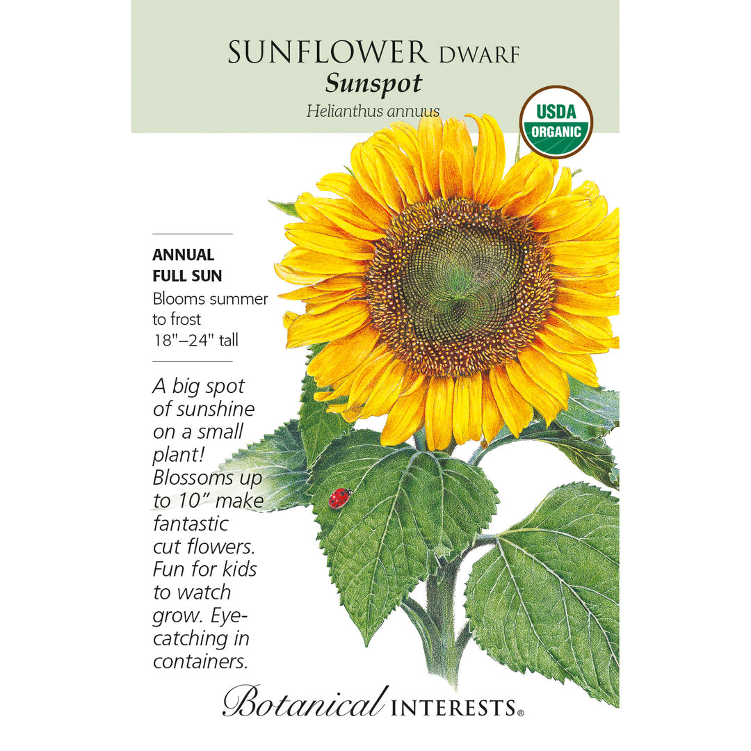 Sunflowers, Sunspot Dwarf (Organic) Botanical Interests Seeds