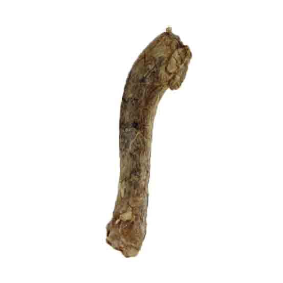 Vital Essentials Raw Bar Freeze-Dried Duck Neck, Individual Snack