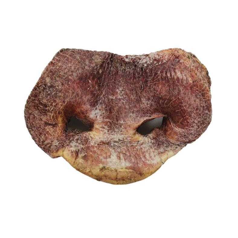 INVENTORY ISSUE Vital Essentials Raw Bar Freeze-Dried Pig Snout, Individual Snack