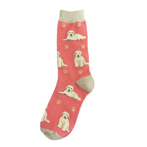 Happy Tails Socks- Peach Goldendoodle
