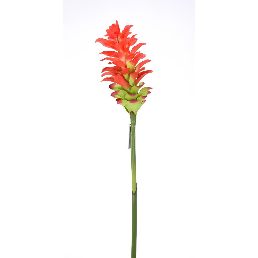 Ginger Silk Floral Stem, Red/Green, 35"