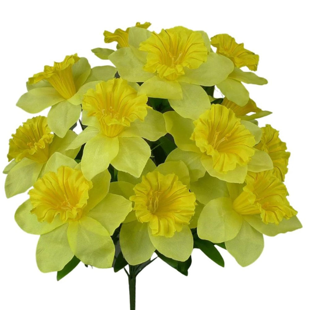 Liberty Floral, Daffodil X12, Yellow