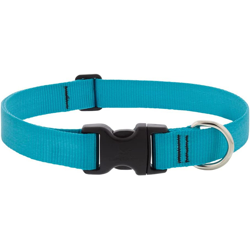 Lupine Pet, Aqua 1" Collar
